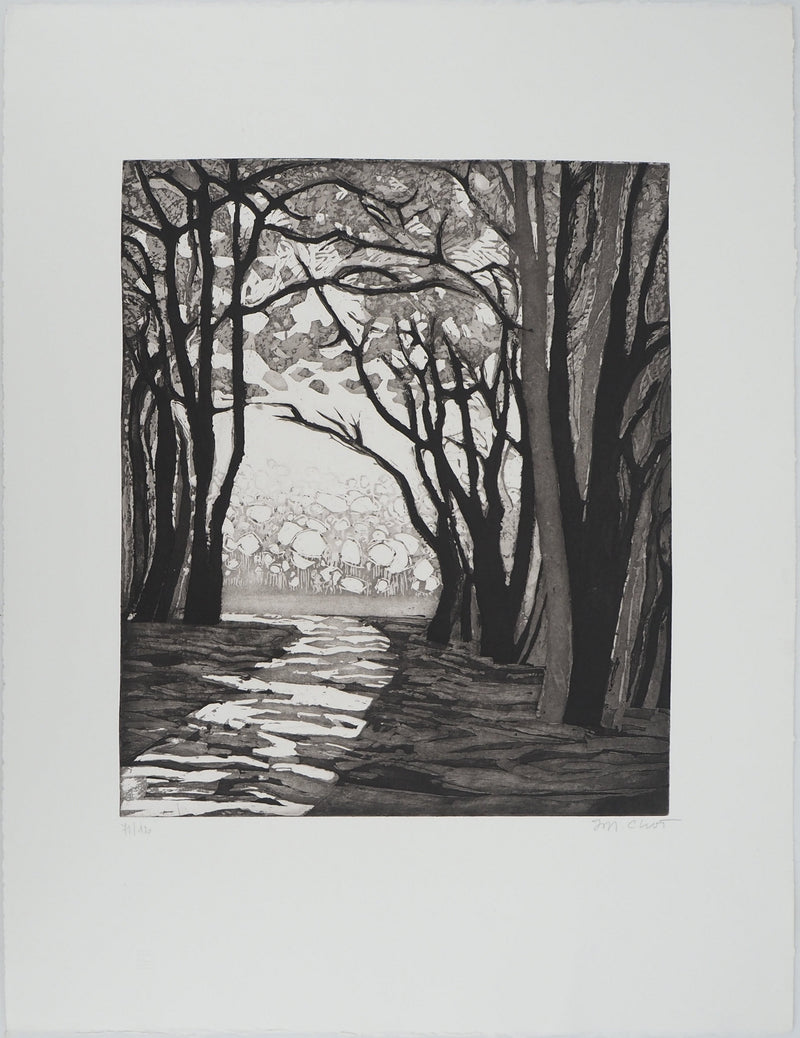Maurice CHOT-PLASSOT : Rivière en forêt, Gravure originale (vue générale) - Crédit photo : Galerie Art.Paris