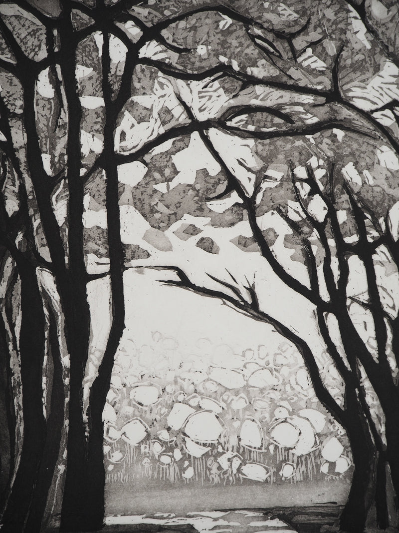 Maurice CHOT-PLASSOT : Rivière en forêt, Gravure originale (photo de détail 4) - Crédit photo : Galerie Art.Paris