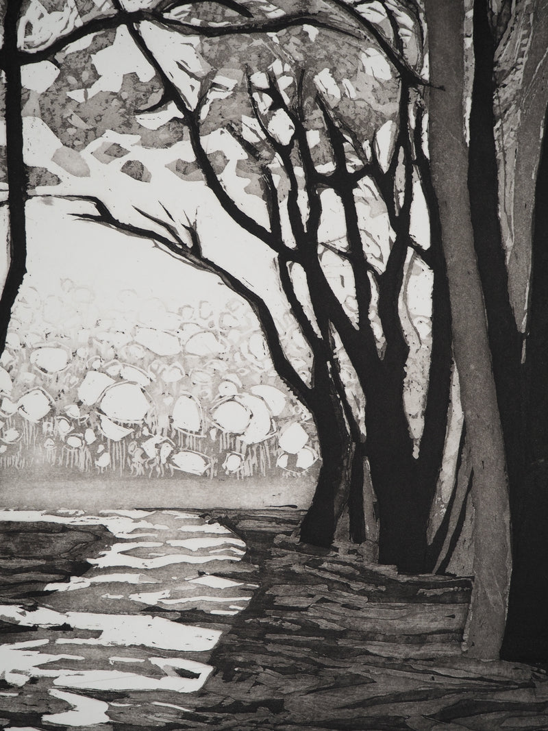 Maurice CHOT-PLASSOT : Rivière en forêt, Gravure originale (photo de détail 5) - Crédit photo : Galerie Art.Paris