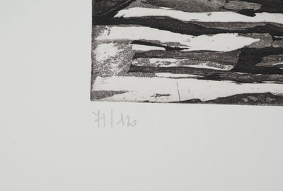 Maurice CHOT-PLASSOT : Rivière en forêt, Gravure originale (photo de détail 6) - Crédit photo : Galerie Art.Paris