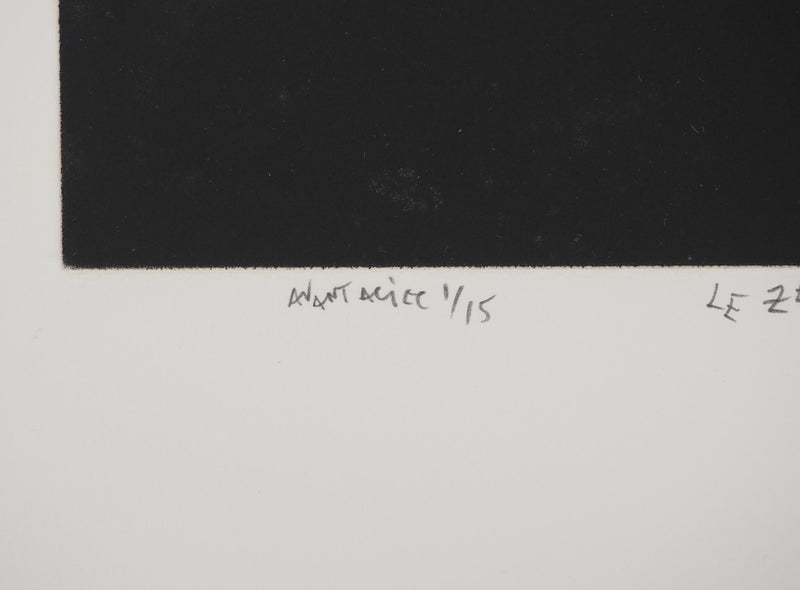 Mario AVATI : Le zèbre à Venise, Gravure originale (photo de détail 6) - Crédit photo : Galerie Art.Paris