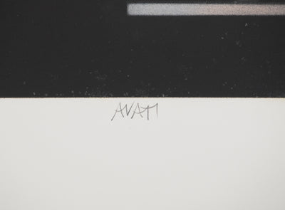 Mario AVATI : Le zèbre à Venise, Gravure originale (photo de détail 2) - Crédit photo : Galerie Art.Paris