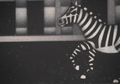 Mario AVATI : Le zèbre à Venise, Gravure originale (photo de détail 7) - Crédit photo : Galerie Art.Paris