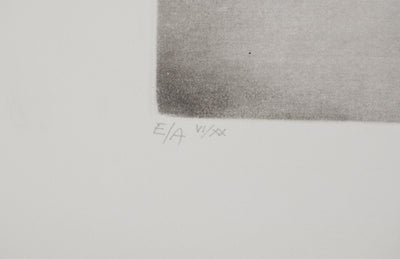 Annapia ANTONINI : La ratatouille, Gravure originale (photo de détail 6) - Crédit photo : Galerie Art.Paris