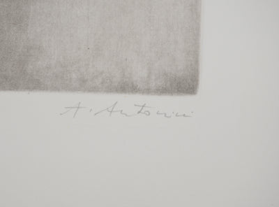 Annapia ANTONINI : La ratatouille, Gravure originale (photo de détail 2) - Crédit photo : Galerie Art.Paris