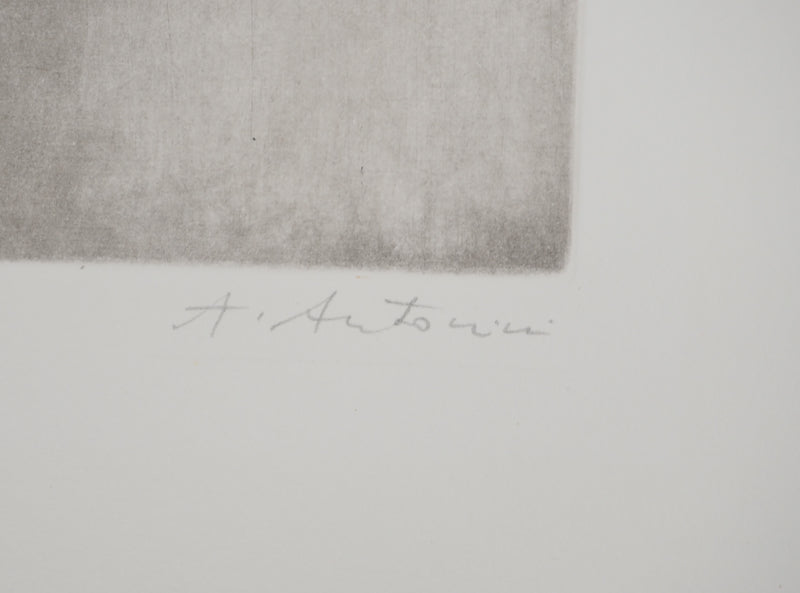 Annapia ANTONINI : La ratatouille, Gravure originale (photo de détail 2) - Crédit photo : Galerie Art.Paris