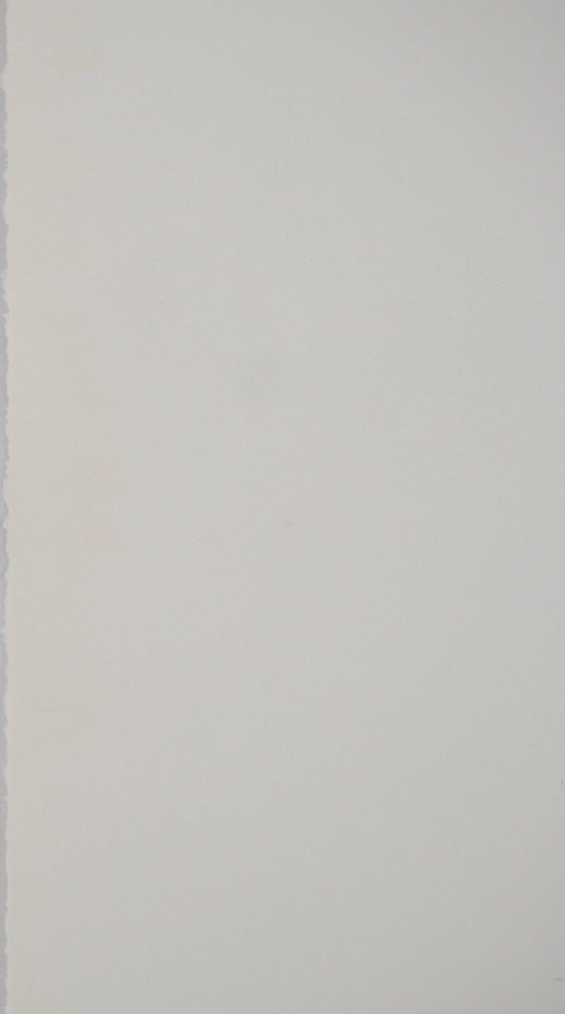 Annapia ANTONINI : La ratatouille, Gravure originale (photo de détail 7) - Crédit photo : Galerie Art.Paris