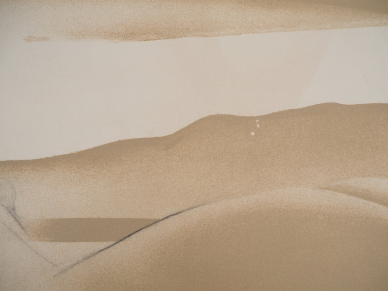 Claude GAVEAU : Les dunes invisibles, Dessin original (photo de détail 6) - Crédit photo : Galerie Art.Paris