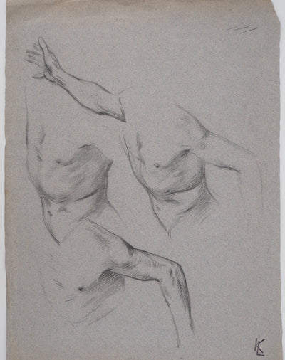 Léopold Franz KOWALSKI : Étude du torse, c, Dessin original (vue générale) - Crédit photo : Galerie Art.Paris