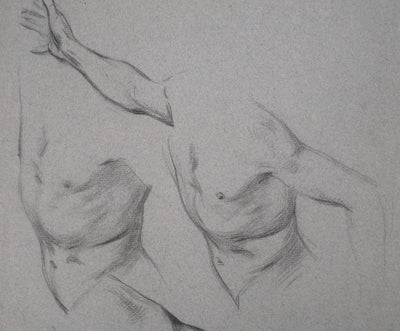 Léopold Franz KOWALSKI : Étude du torse, c, Dessin original (photo de détail 3) - Crédit photo : Galerie Art.Paris