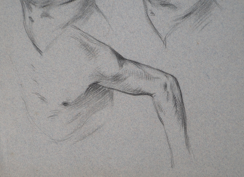 Léopold Franz KOWALSKI : Étude du torse, c, Dessin original (photo de détail 4) - Crédit photo : Galerie Art.Paris