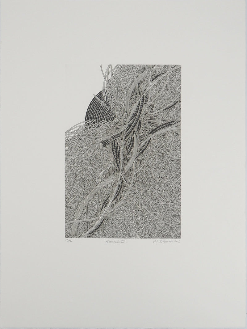 Yasuyuki KIHARA : Accumulation, Gravure originale (vue générale) - Crédit photo : Galerie Art.Paris