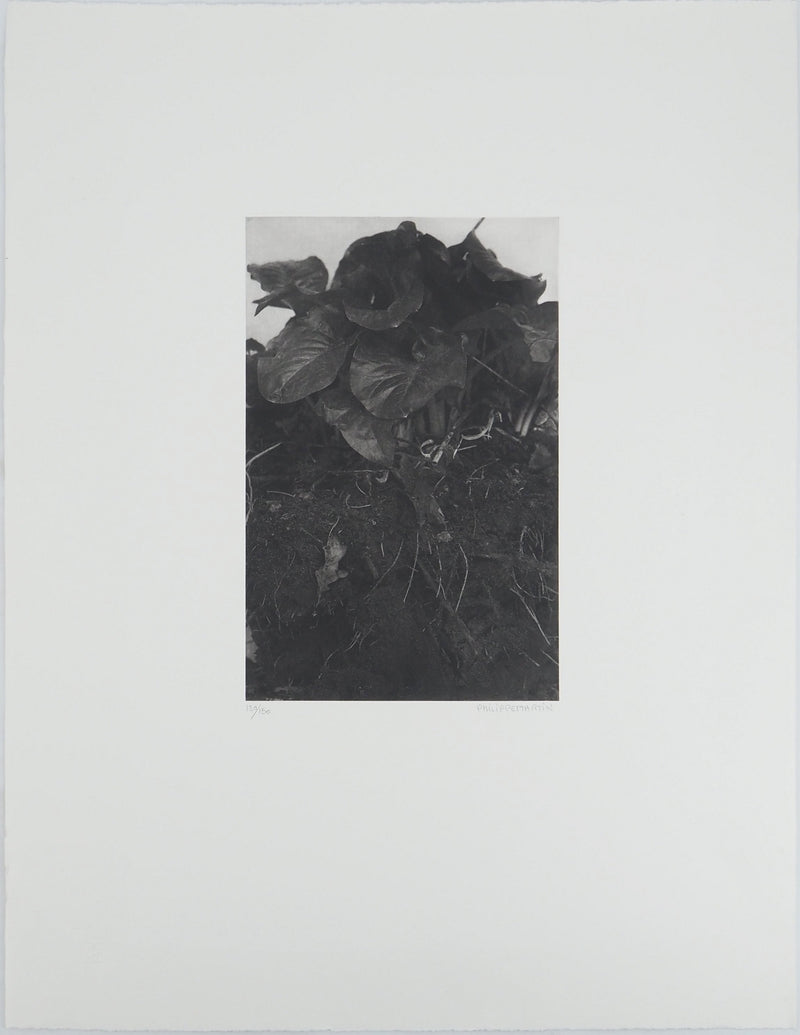 Philippe MARTIN : Racines, Gravure originale (vue générale) - Crédit photo : Galerie Art.Paris