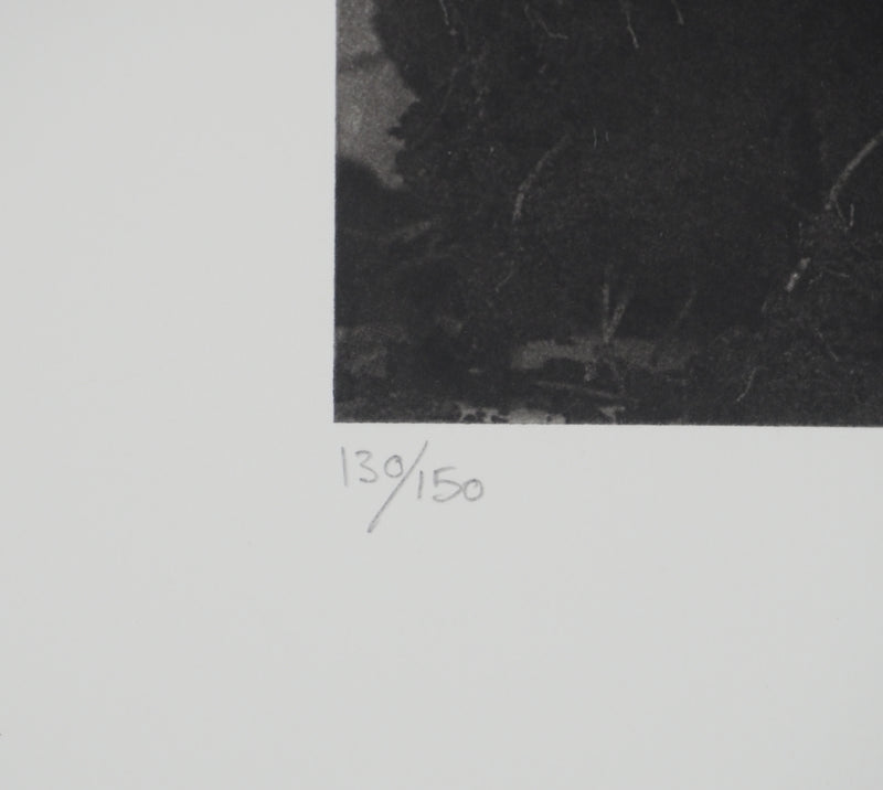 Philippe MARTIN : Racines, Gravure originale (photo de détail 6) - Crédit photo : Galerie Art.Paris