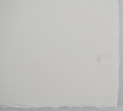 Philippe MARTIN : Racines, Gravure originale (photo de détail 8) - Crédit photo : Galerie Art.Paris