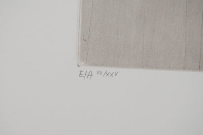 Annapia ANTONINI : Le meuble du salon, Gravure originale (photo de détail 5) - Crédit photo : Galerie Art.Paris