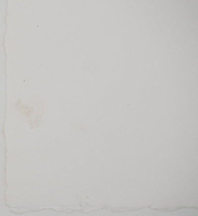 Annapia ANTONINI : Le meuble du salon, Gravure originale (photo de détail 7) - Crédit photo : Galerie Art.Paris