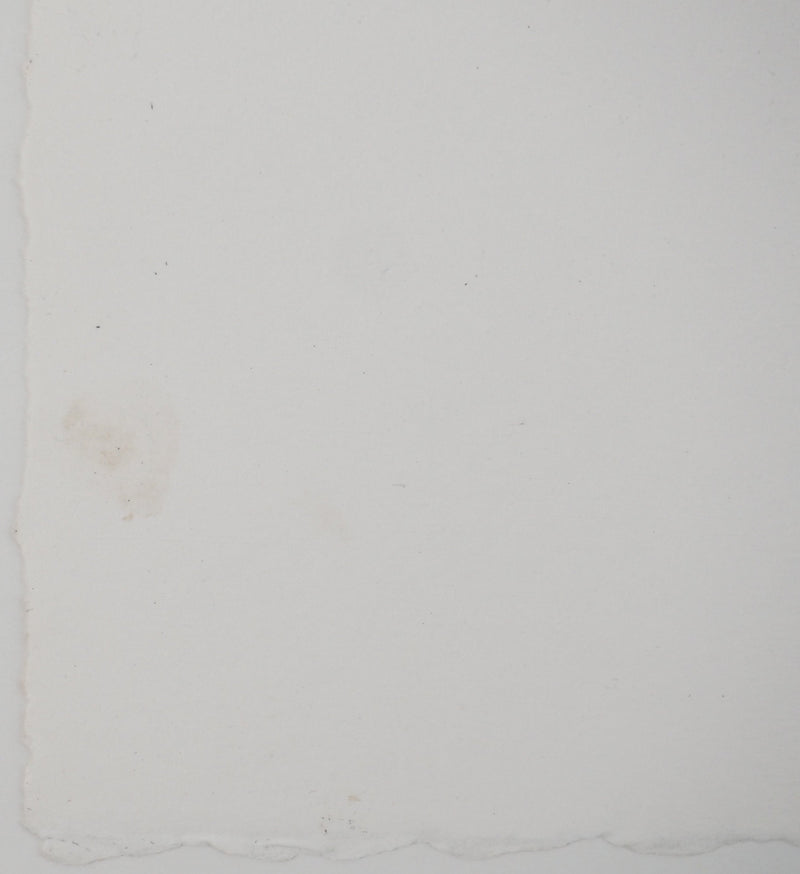 Annapia ANTONINI : Le meuble du salon, Gravure originale (photo de détail 7) - Crédit photo : Galerie Art.Paris