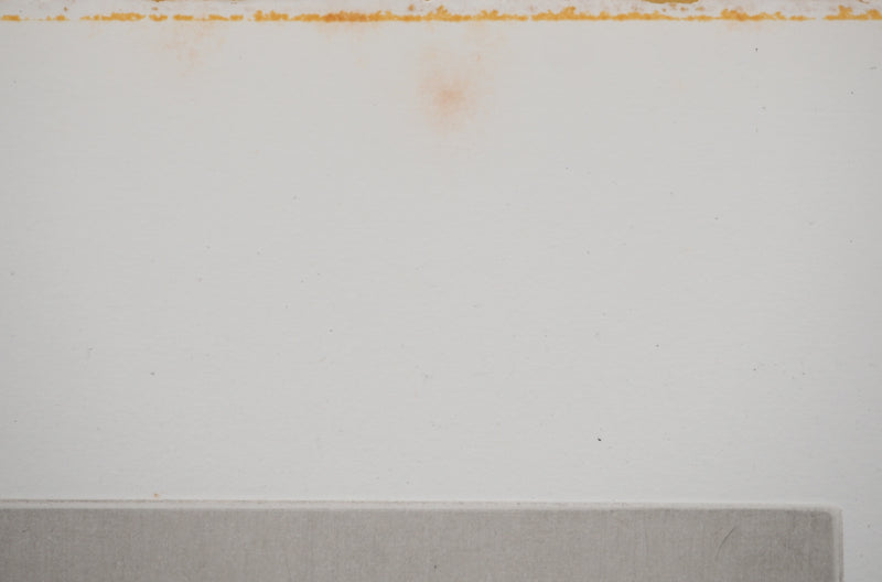 Annapia ANTONINI : Le meuble du salon, Gravure originale (photo de détail 6) - Crédit photo : Galerie Art.Paris
