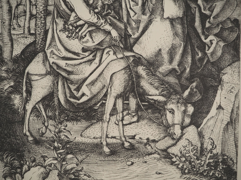 Martin SCHONGAUER : Martin SCHONGAUER (1430/50-1491), Gravure originale (photo de détail 5) - Crédit photo : Galerie Art.Paris
