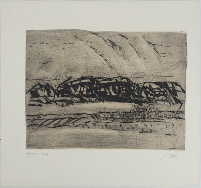 François BEALU : Monochrome intérieur, Gravure originale (vue générale) - Crédit photo : Galerie Art.Paris