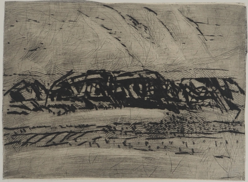 François BEALU : Monochrome intérieur, Gravure originale (photo de détail 3) - Crédit photo : Galerie Art.Paris