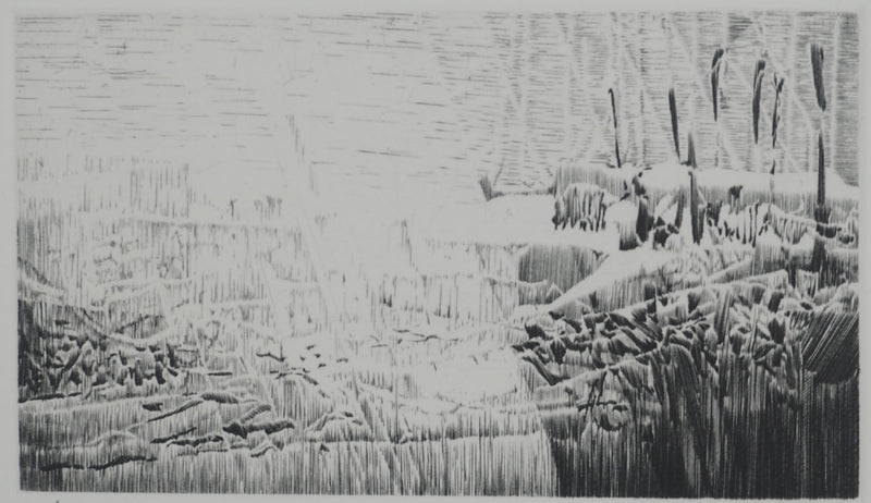 Jean-Pierre TINGAUD : La terre ouverte, Gravure originale (photo de détail 3) - Crédit photo : Galerie Art.Paris