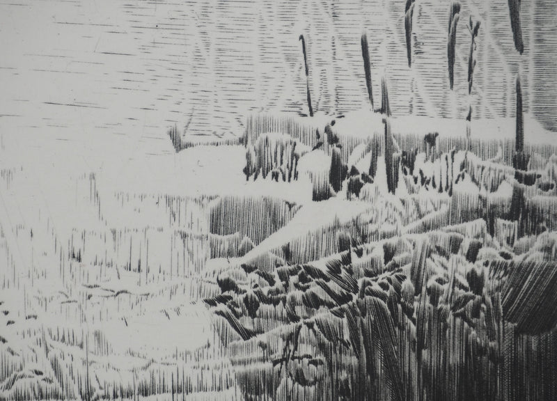 Jean-Pierre TINGAUD : La terre ouverte, Gravure originale (photo de détail 4) - Crédit photo : Galerie Art.Paris
