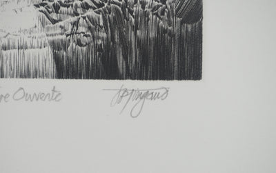 Jean-Pierre TINGAUD : La terre ouverte, Gravure originale (photo de détail 2) - Crédit photo : Galerie Art.Paris
