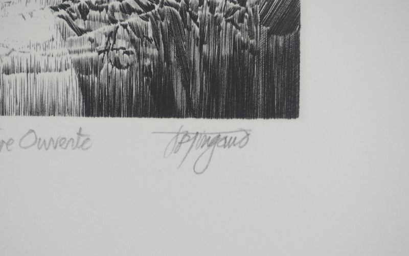 Jean-Pierre TINGAUD : La terre ouverte, Gravure originale (photo de détail 2) - Crédit photo : Galerie Art.Paris