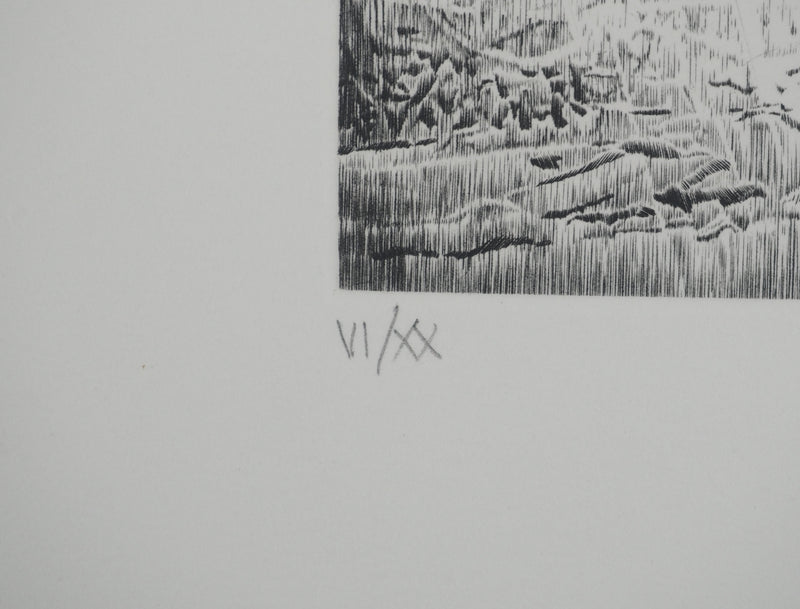 Jean-Pierre TINGAUD : La terre ouverte, Gravure originale (photo de détail 5) - Crédit photo : Galerie Art.Paris