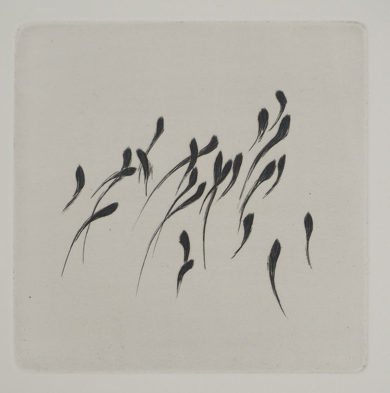 Annie POLAK : Composition abstraite, Gravure originale (photo de détail 3) - Crédit photo : Galerie Art.Paris