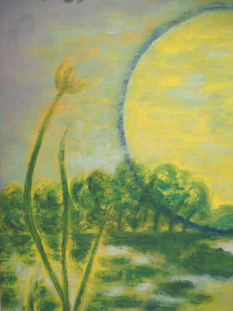 Meyer LAZAR : Soleil couchant, Lac de Galilée, Tableau original (photo de détail 5) - Crédit photo : Galerie Art.Paris