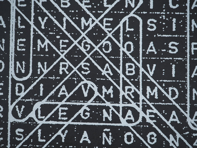 Joan RABASCALL : Mots mêlés, Lithographie originale (photo de détail 4) - Crédit photo : Galerie Art.Paris