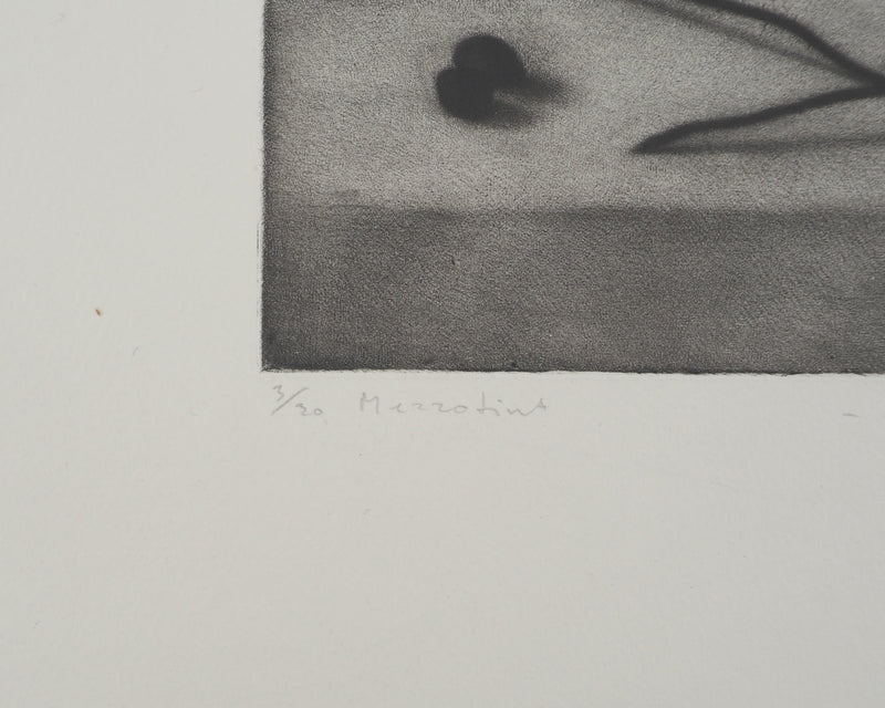 Erling Longva VALTYRSON : Nature morte à l&