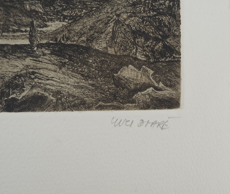 Yves DOARE : Hommage à Segers version II, Gravure originale (photo de détail 3) - Crédit photo : Galerie Art.Paris