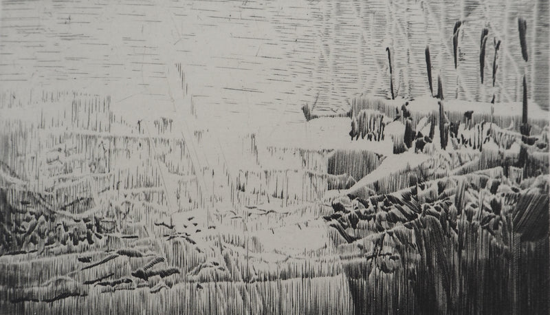 Jean-Pierre TINGAUD : La terre ouverte II, Gravure originale (vue générale) - Crédit photo : Galerie Art.Paris