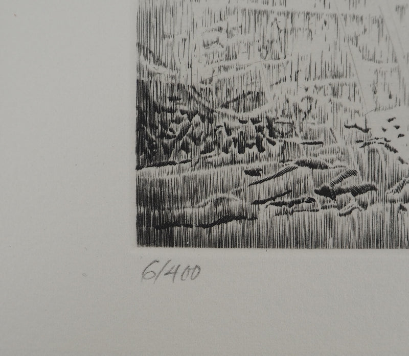 Jean-Pierre TINGAUD : La terre ouverte II, Gravure originale (photo de détail 6) - Crédit photo : Galerie Art.Paris