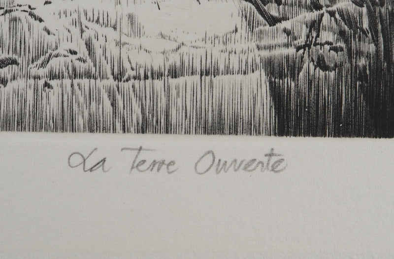 Jean-Pierre TINGAUD : La terre ouverte II, Gravure originale (photo de détail 7) - Crédit photo : Galerie Art.Paris