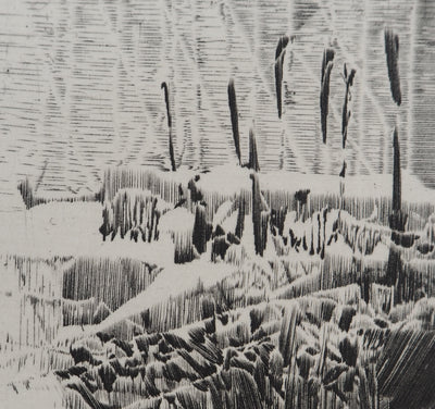 Jean-Pierre TINGAUD : La terre ouverte II, Gravure originale (photo de détail 5) - Crédit photo : Galerie Art.Paris