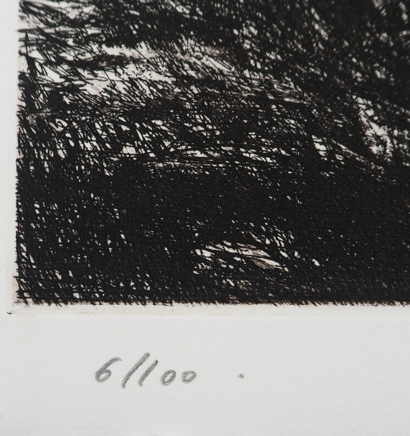 Nicole BOUHARMONT : Arbres agités, Gravure originale (photo de détail 6) - Crédit photo : Galerie Art.Paris