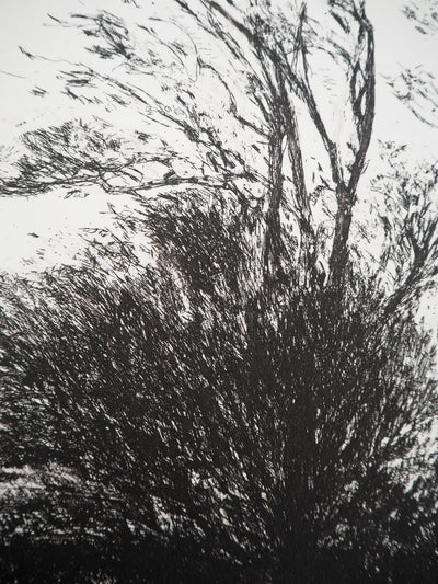 Nicole BOUHARMONT : Arbres agités, Gravure originale (photo de détail 4) - Crédit photo : Galerie Art.Paris