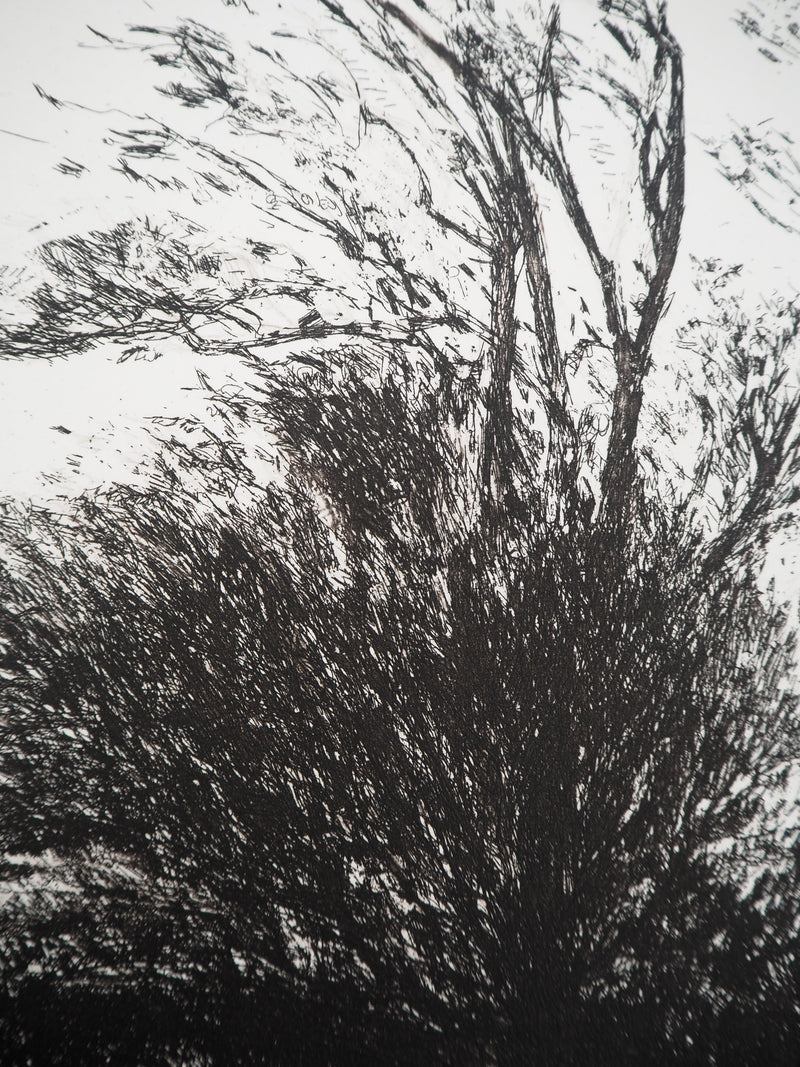 Nicole BOUHARMONT : Arbres agités, Gravure originale (photo de détail 4) - Crédit photo : Galerie Art.Paris