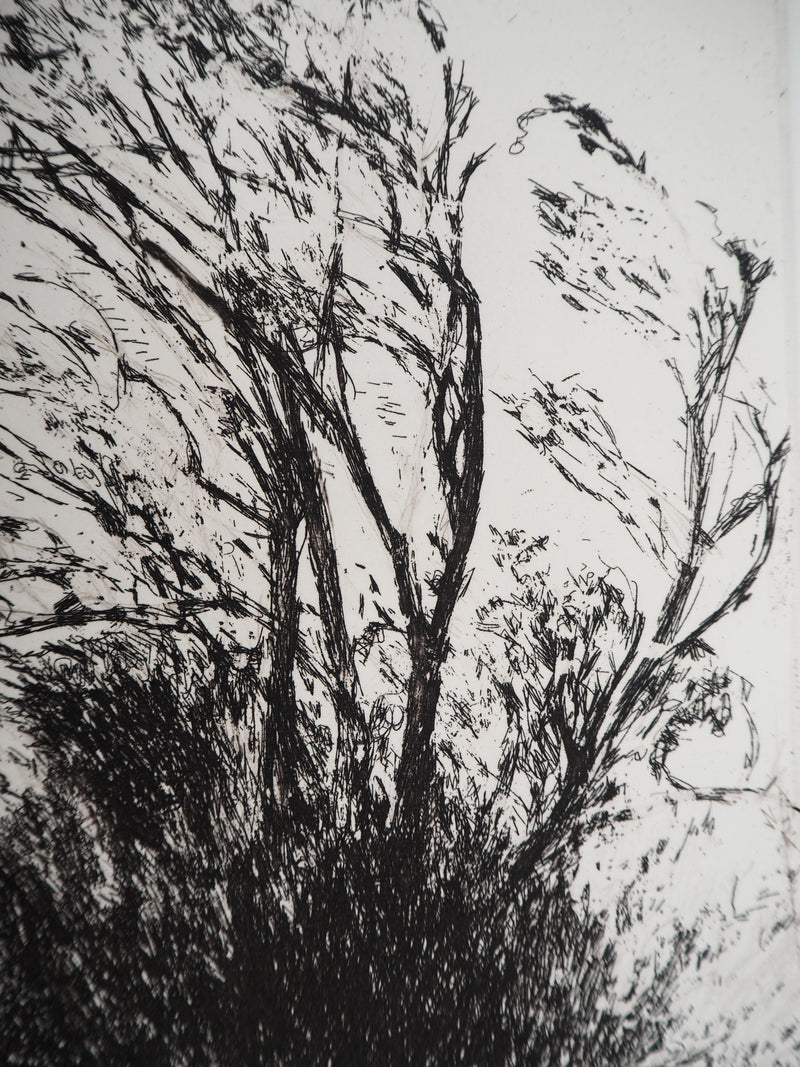 Nicole BOUHARMONT : Arbres agités, Gravure originale (photo de détail 5) - Crédit photo : Galerie Art.Paris