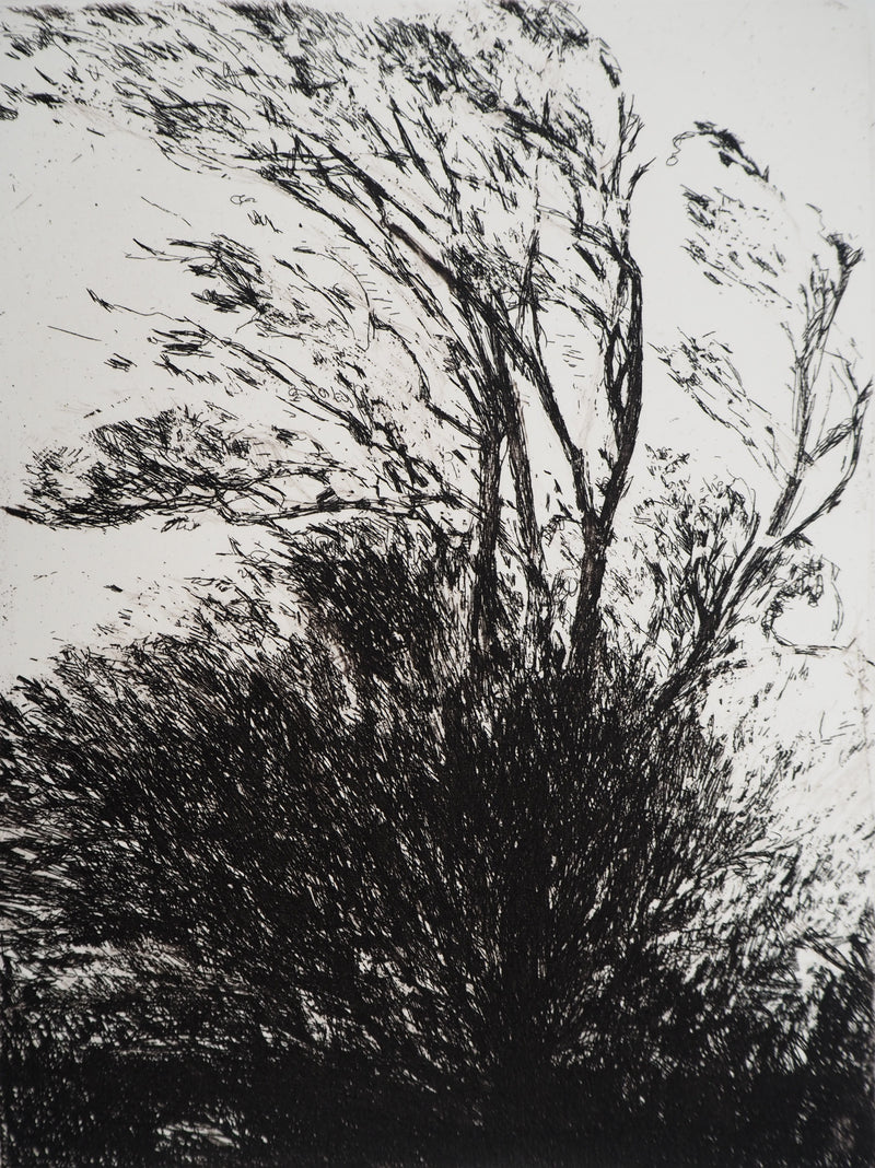 Nicole BOUHARMONT : Arbres agités, Gravure originale (photo de détail 2) - Crédit photo : Galerie Art.Paris