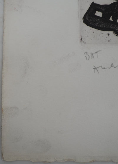 Pierre ALECHINSKY : Regard surréaliste, Gravure originale (photo de détail 7) - Crédit photo : Galerie Art.Paris