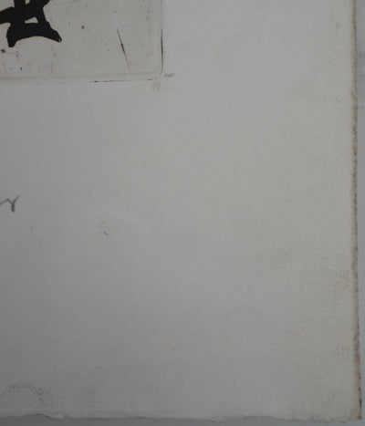 Pierre ALECHINSKY : L'oiseau en cage, Gravure originale (photo de détail 7) - Crédit photo : Galerie Art.Paris