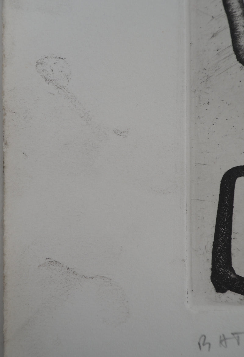 Pierre ALECHINSKY : Perché sur le serpent, Gravure originale (photo de détail 6) - Crédit photo : Galerie Art.Paris