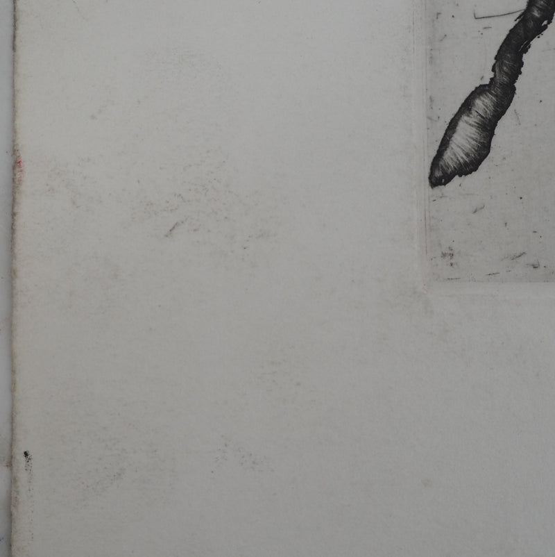 Pierre ALECHINSKY : Le chien et le poussin, Gravure originale (photo de détail 7) - Crédit photo : Galerie Art.Paris