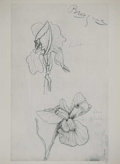 Georges BRAQUE : Bouquet d'iris en fleurs, Héliogravure originale (vue générale) - Crédit photo : Galerie Art.Paris